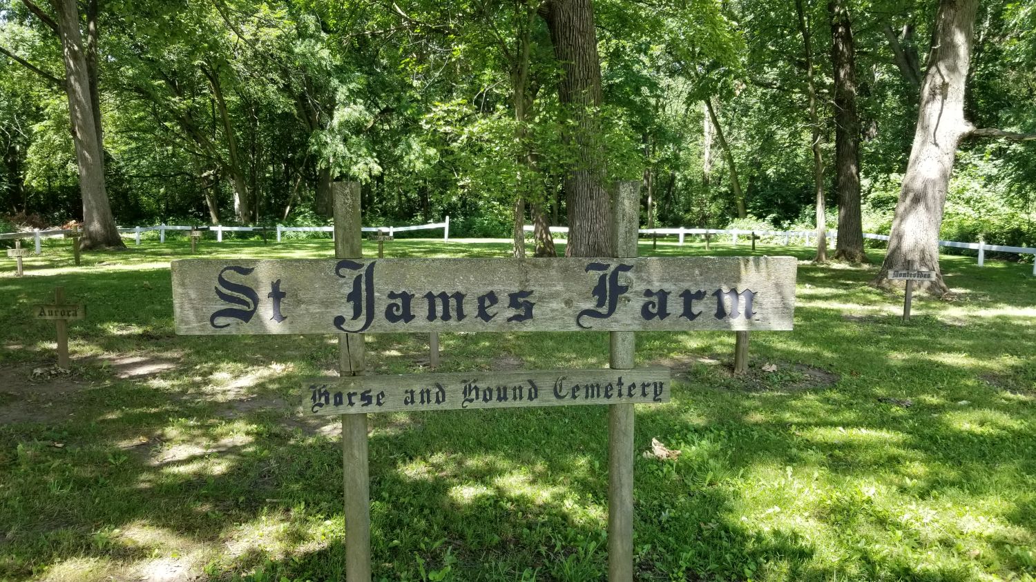 Saint James Forest Preserve 